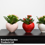 Kalanchoe in a Heart-Shaped Decorative Ceramic Pot