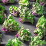 Kalettes® Garden Mix F1 - Seeds