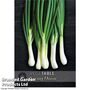 Bunching Onion 'Ishikura' - Kew Vegetable Seed Collection