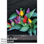 Chilli Pepper 'Chilli Spangles' - Kew Vegetable Seed Collection