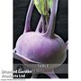 Kohl Rabi 'Kolibri' F1 Hybrid - Kew Vegetable Seed Collection