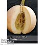 Squash 'Buffy Ball' F1 Hybrid (Winter) - Kew Vegetable Seed Collection