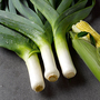 Leek 'Musselburgh' - Seeds
