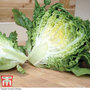 Lettuce 'Little Gem' (Cos)