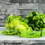 Lettuce 'Little Gem Delight' (Cos) - Organic Seeds