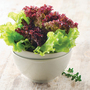 Organic Lettuce 'Red & Green Salad Bowl Mixed' (Loose-Leaf) - Seeds