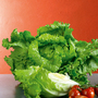 Lettuce 'Webbs Wonderful' (Iceberg/Crisphead) - Seeds