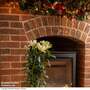 Lily 'Double White Christmas' - Gift