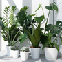 Nurseryman?s Choice House Plant Mix