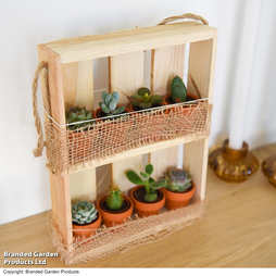 Hanging Wooden Succulent Shelf With 8 Plants - Gift