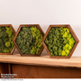 Moss Wall Art