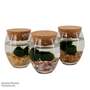 Moss Balls in Ball Glass Vase