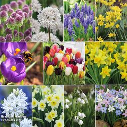 Spring Saver Bulb Collection