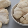 Mushroom Windowsill Kit - Lion's Mane
