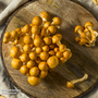 Mushroom Windowsill Kit - Nameko
