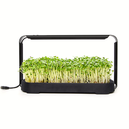 Hydroponics Growing System with Full Spectrum LED Light - Indoor Smart Gardening Microgreens & Herb Germinator for Kitchen Windowsill