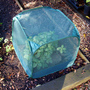 MiniPop Pop-Up Mini Plant & Seedling Cover - 50x50x50cm