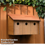 Happy Beaks - Oakham Sparrow Terrace Nest Box