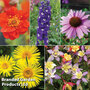 T&M Nurserymans Choice Perennial Mix Plants + Seeds