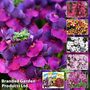 Nurseryman's Choice Container Bedding + Nurserymans Choice Flower Seeds