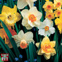 Narcissus 'Sunshine Mix'
