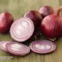 Onion 'Akado' (Autumn Planting)