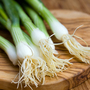 Onion 'Performer' (Bunching Onion) - Seeds