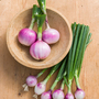 Salad Onion 'Ruby Red' - Seeds