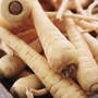 Parsnip 'Albion' - Seeds