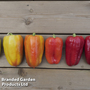 Sweet Pepper 'Flamingo'