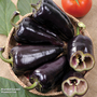 Sweet Pepper 'Black Knight' F1 Hybrid - Veg Saver Seeds