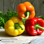 Sweet Pepper Collection (Grafted)