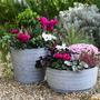 Garden Gear - Caesar Trinity Marble Effect Planter