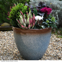 Garden Gear - Blue Breeze Bell Glazed Planter