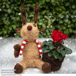 Reindeer Festive Coco Planter - Gift