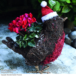 Robin Festive Brushwood Planter - Gift