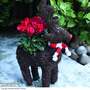 Rudolph Festive Brushwood Planter - Gift