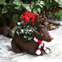 Sitting Rudolph Festive Brushwood Planter - Gift