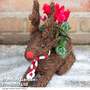 Festive Sitting Rudolph Brushwood Pot - Gift