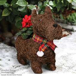 Scottie Dog Festive Brushwood Planter - Gift