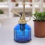 Blue Glass Plant Mister