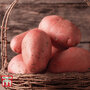 Potato 'Sarpo Mira'