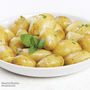 Potato 'Jazzy' (Second Cropping)