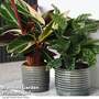 Oslo Grey House Plant Pots