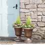 Garden Gear - Set of Two Urn Planters