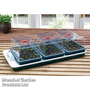 Big 3 Electric Propagator