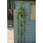 Single Gothic Screen - Decorative Garden Screen, Plant Support - Solid Steel - W24 x H180 cm - Black