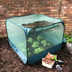 Pop Up Fruit and Vegetable Cage Grow House Cloche & Plant Protection Cover