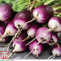 Radish 'Diana' - Seeds