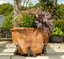 Antique Bronze Coloured Retriever Potty Feet - Plant Pot Feet